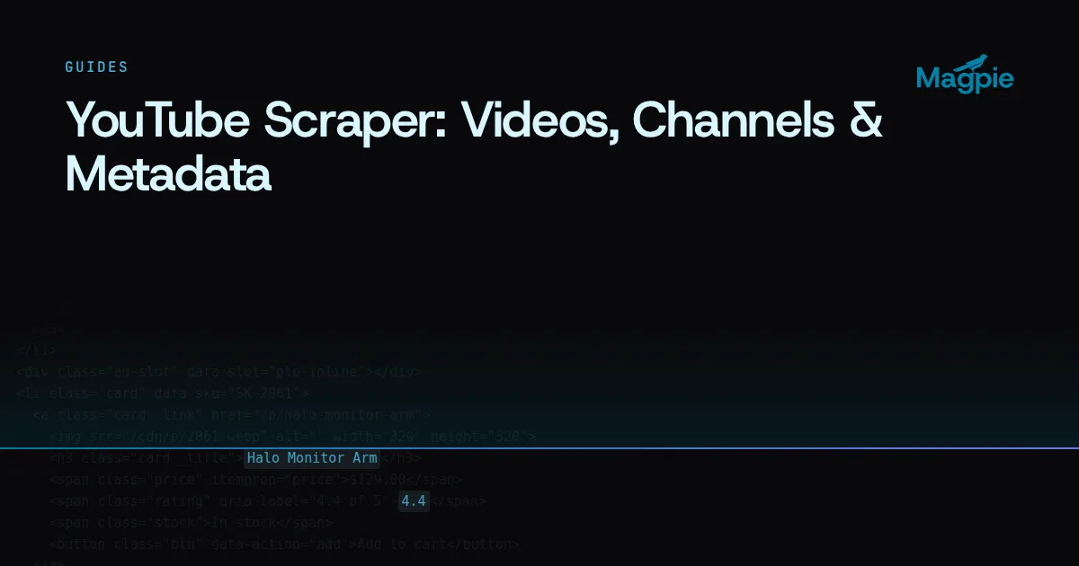 Magpie title card: YouTube Scraper: Videos, Channels & Metadata